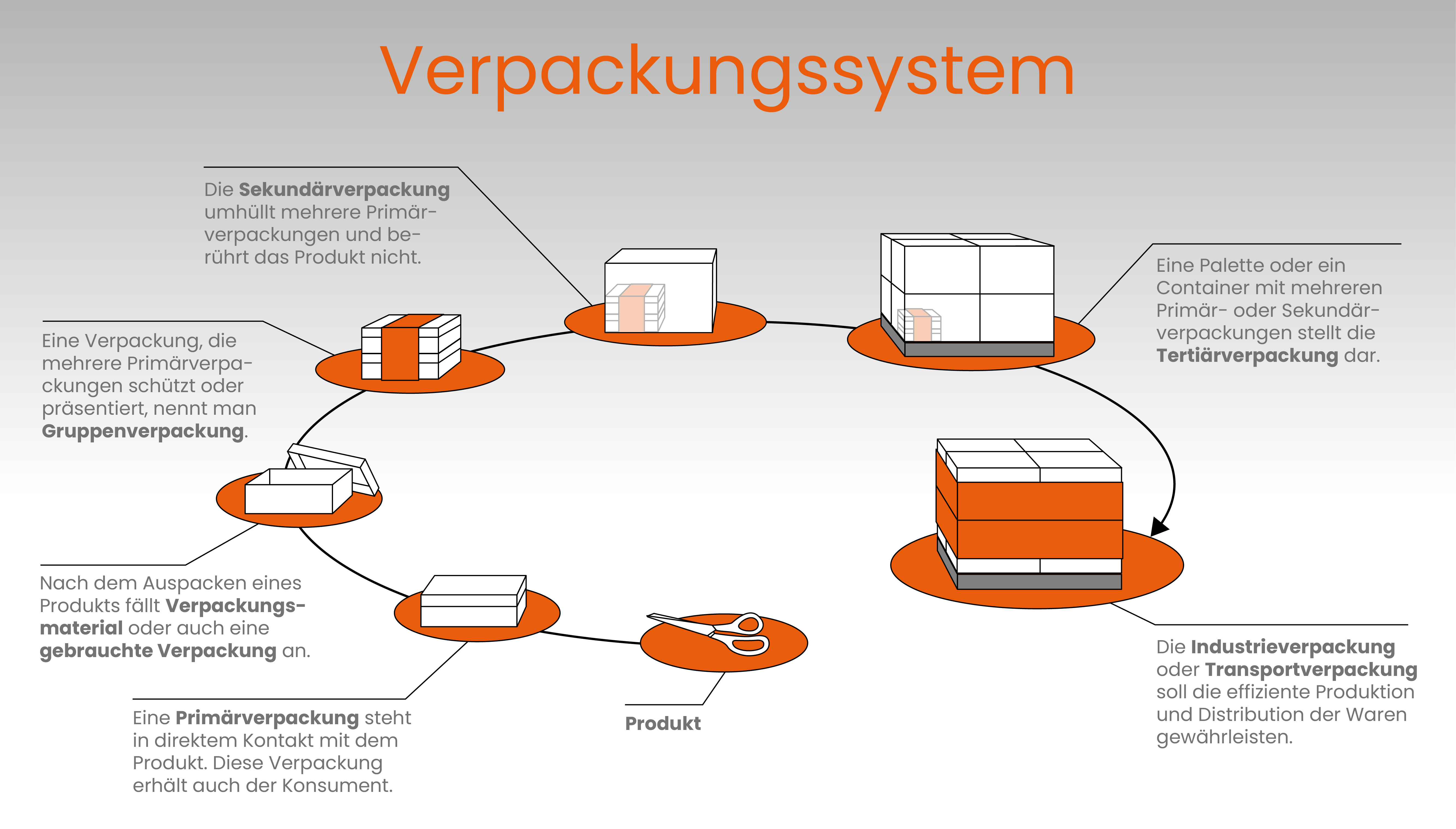 verpackungssystem logistik logivisor